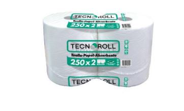  TOALLA PAPEL 2 ROLL 250 MT TECNOROLL H/S BASICA 